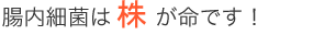 腸内細菌は株が命です！！